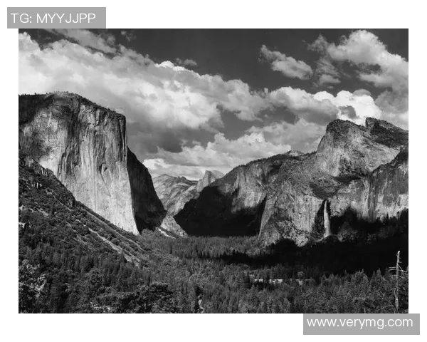亚当斯：探索科学与人文交汇的智慧之旅与未来展望