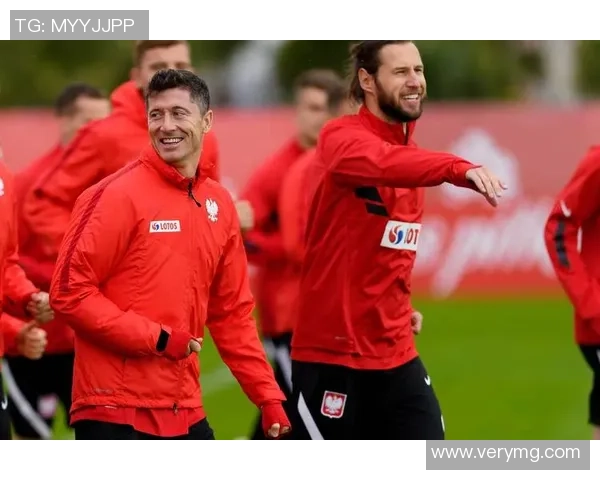 奥地利与波兰激情对决欢呼吧让我们共同见证精彩瞬间