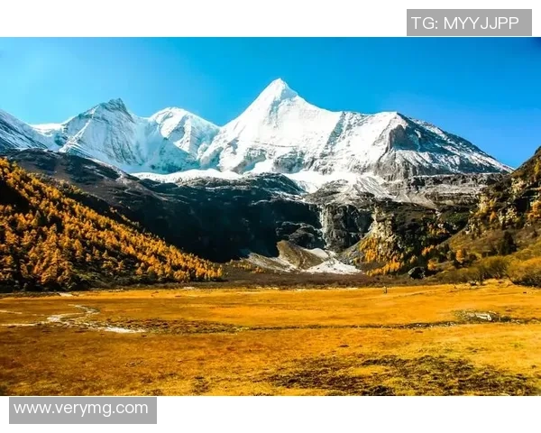 探索阿拉巴的文化魅力与自然风光，揭开这片土地的神秘面纱