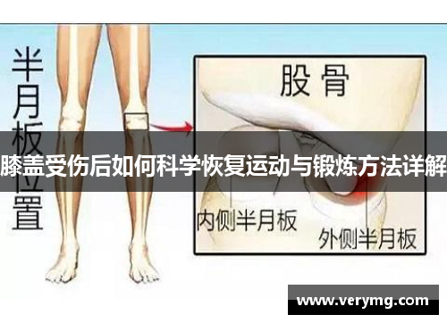 膝盖受伤后如何科学恢复运动与锻炼方法详解
