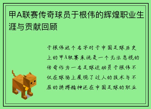 甲A联赛传奇球员于根伟的辉煌职业生涯与贡献回顾
