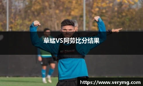 草蜢VS阿劳比分结果